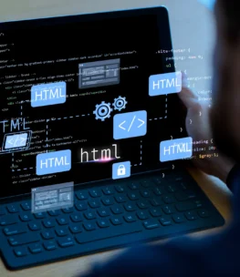 web development web development